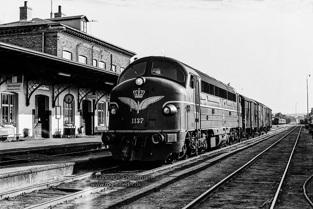 DSB - Diesellokomotiver - Litra MY 1137 - tog-billeder.dk